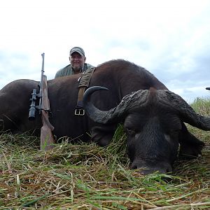 Cape Buffalo Hunting