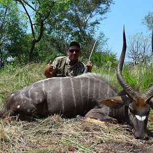 Hunting Nyala