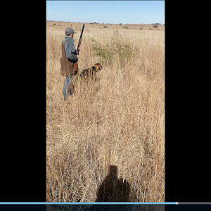 Bird Hunting in South Africa