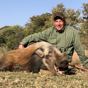 High Noon Waterberg Bush Pig