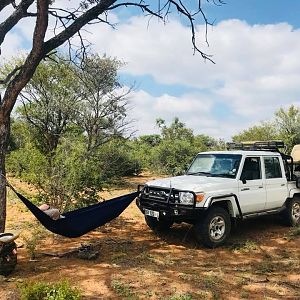 Hammock's Bush Lunch