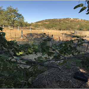 Leopard Hunting Blind