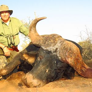 Limpopo Buffalo