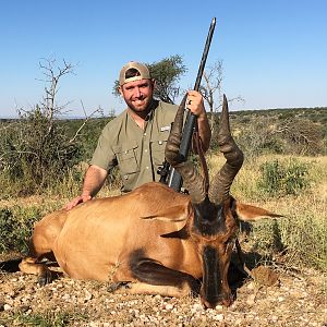 Hunting Red Hartebeest in Namibia