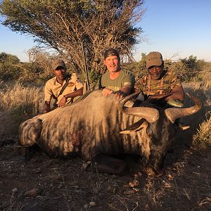 Namibia Hunting Blue Wildebeest