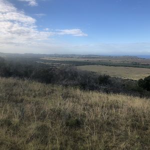 Hunting Area South Africa