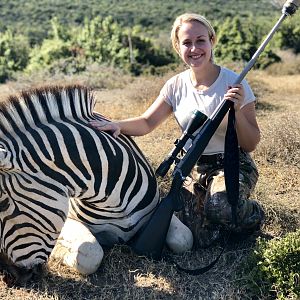 South Africa Hunting Burchell's Plain Zebra