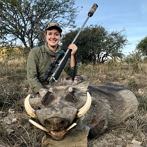 Hunt Warthog in South Africa