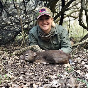 Blue Duiker Hunting in South Africa