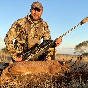 South Africa Hunting Caracal