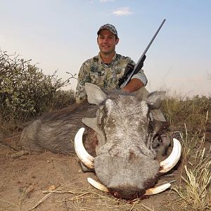 Hunting Warthog in Namibia