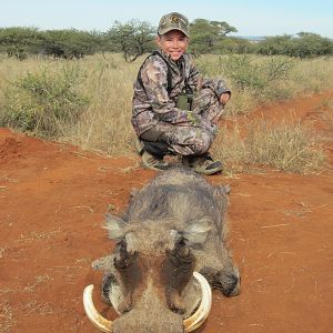 Hunt Warthog in South Africa