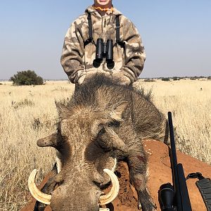 Hunting Warthog in South Africa