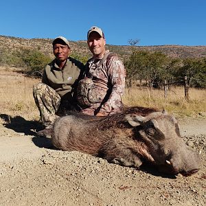 Warthog Hunting South Africa