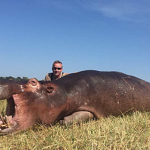 Hunt Hippo in Zimbabwe