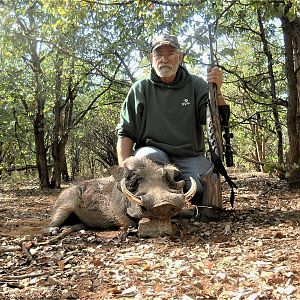 warthog south africa