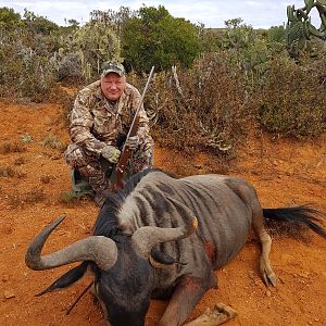 Hunting Blue Wildebeest in South Africa