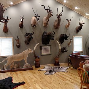 Trophy Room