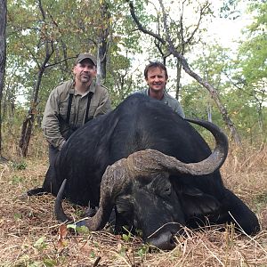 Cape Buffalo Hunt