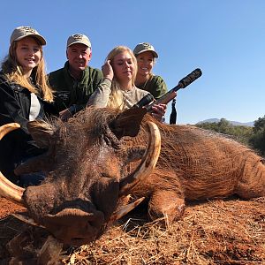 Warthog Hunt South Africa