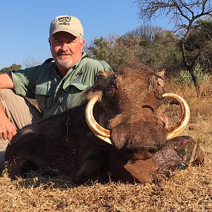 Warthog Hunting South Africa