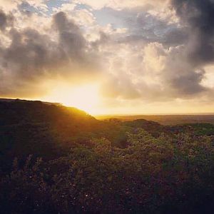 Sunset after a good rain