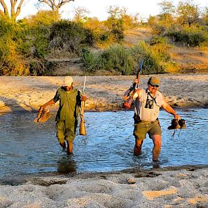 Tracking Buffalo along the Klaserie in South Africa