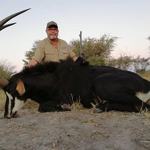 Namibia Hunting Sable Antelope