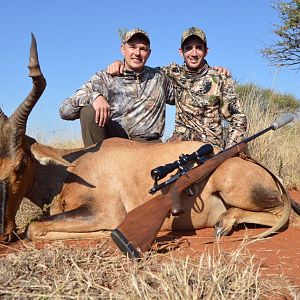 Hunting Red Hartebeest in South Africa