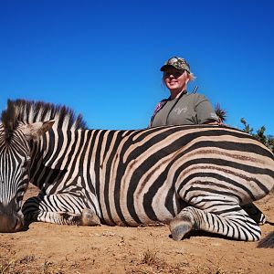 Burchell's Plain Zebra Hunt South Africa