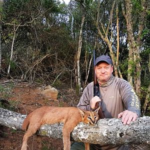 Hunt Caracal in South Africa