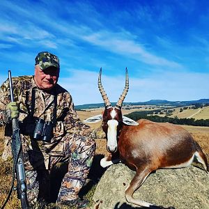 Blesbok Hunting South Africa