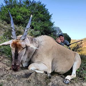 South Africa Hunt Eland