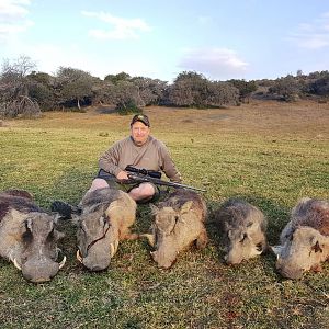 South Africa Hunting Warthog