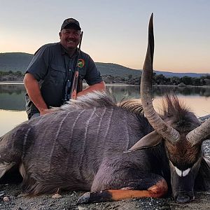 Nyala Hunting South Africa