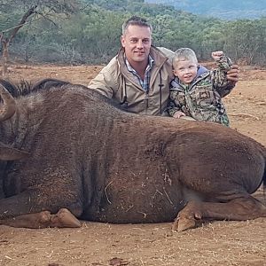 South Africa Hunting Black Wildebeest