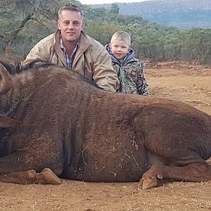 Hunting Black Wildebeest in South Africa