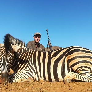 South Africa Hunting Burchell's Plain Zebra