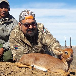 Steenbok