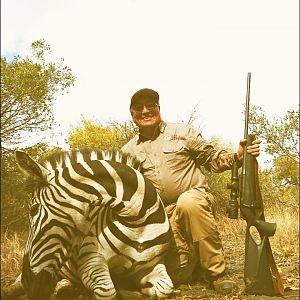 Burchell's Plain Zebra Hunting South Africa