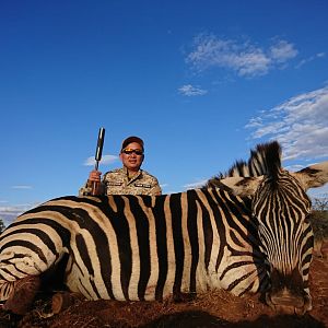 South Africa Hunt Burchell's Plain Zebra