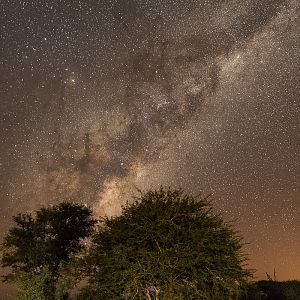 Night Skies in South Africa