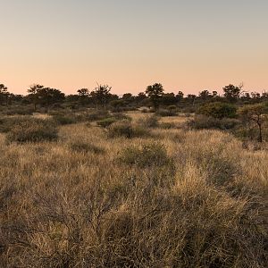 Hunting Area South Africa