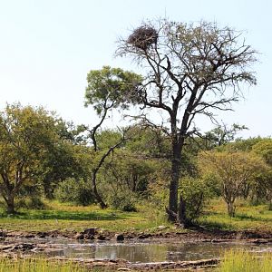 South Africa Landscape