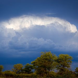 Thunder Clouds South Africa