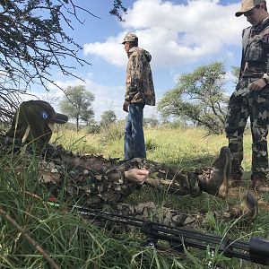 Resting during a hunt