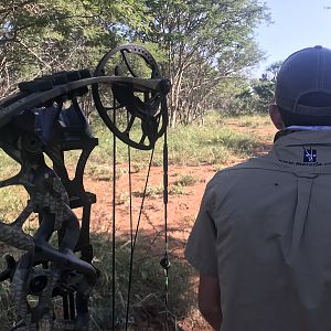 Bow Hunt South Africa