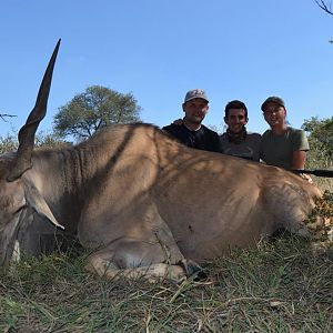 Eland Hunting South Africa