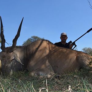 Hunting Eland in South Africa