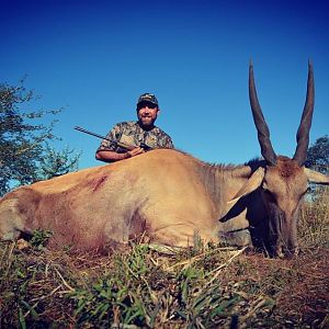 Female Eland Hunt South Africa